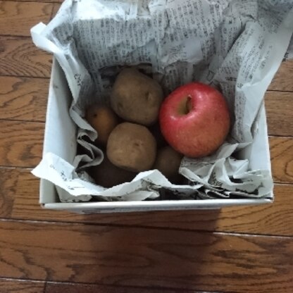 じゃがいもの保存に、リンゴが、いいんですね。ちょうど、買ってきたので、入れてみました。
ありがとうございました(^o^)v